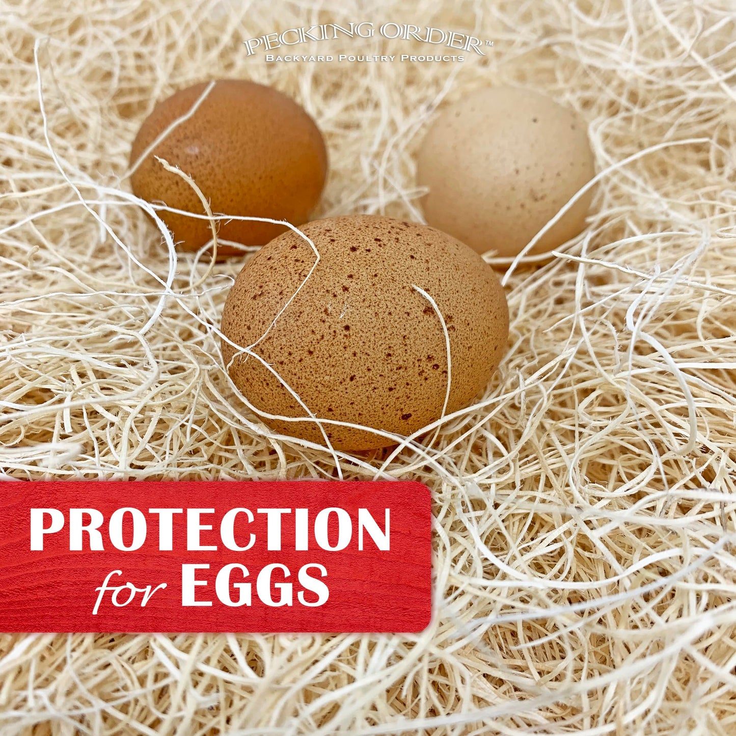 Nest Box Pads for Chicken Nesting Boxes - 13 x 13 Pads Made in USA from Sustainably Sourced Aspen Excelsior (10 Pack)