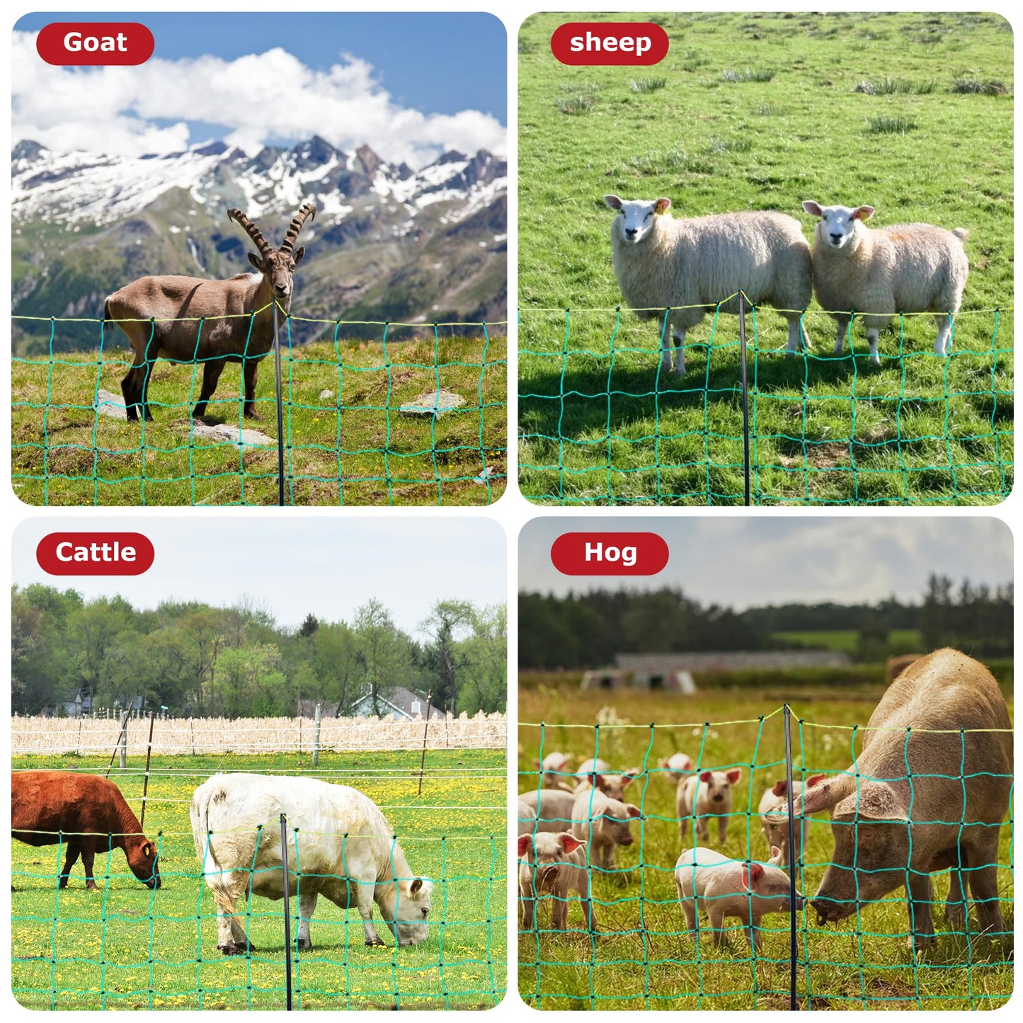 BEIYI Electric Fence Netting, 164'L x 42.5" H Electric Fence Kit for Livestock, Goat, 14 Posts Double Spiked Portable Electric Poultry Farm Fence