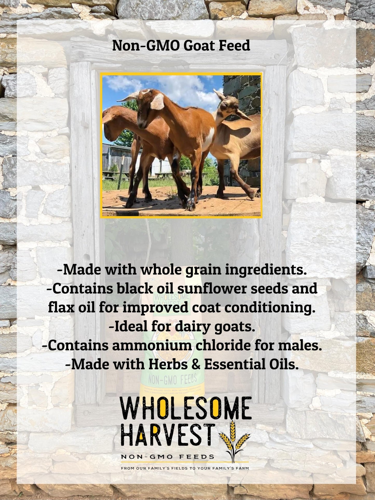 Wholesome Harvest Non-GMO All-Grain Goat Feed 16% Protein - Fortifies with Goat Minerals, Vitamins, and Natural Ingredients for Strong Bones, Healthy Digestion, and Optimal Growth - 10 lb Bag