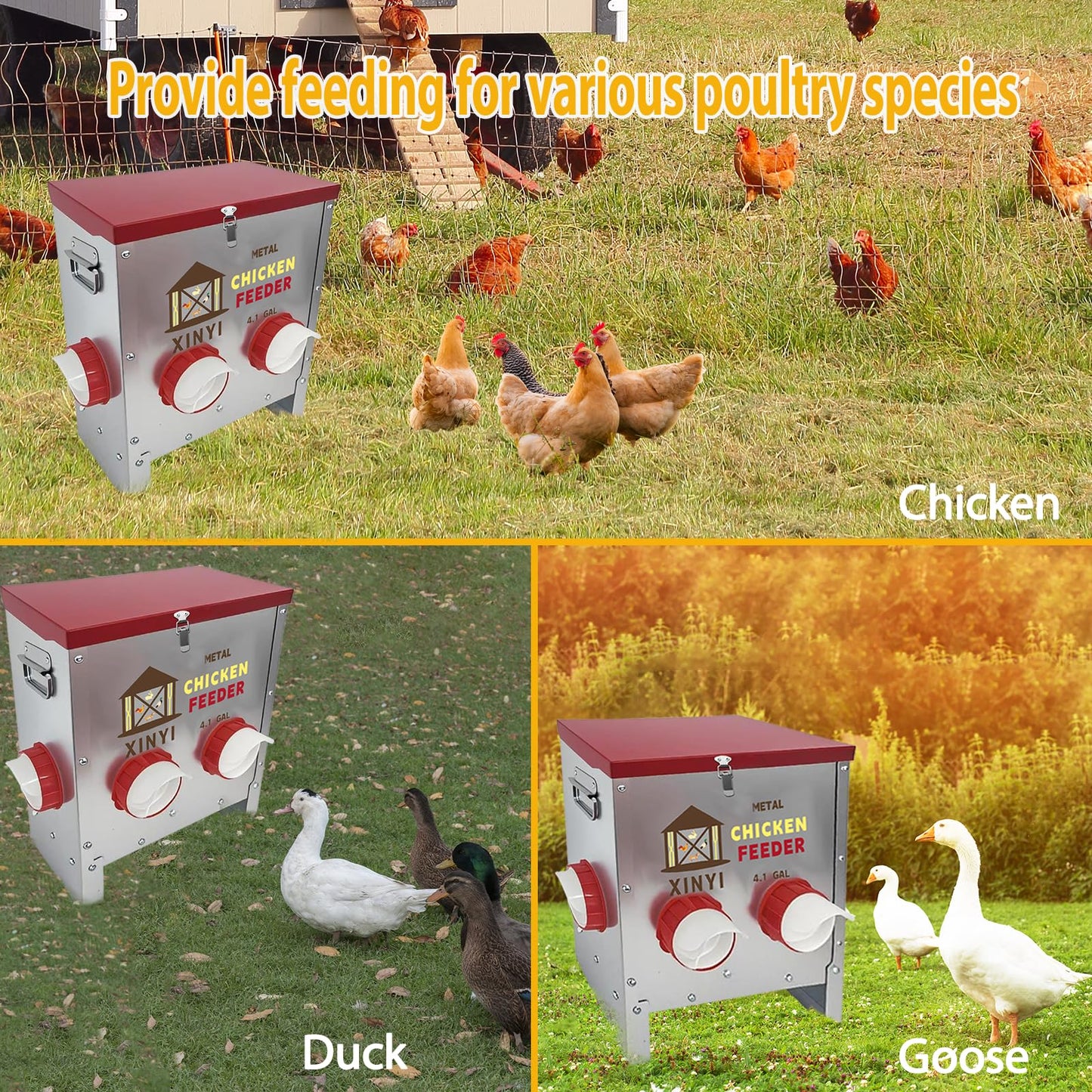 Automatic Chicken Feeder 4 Ports 25lbs Metal Poultry Pro Feeder No Waste Rodent Proof Weatherproof Chicken Food Dispenser System 4.1 Gallon