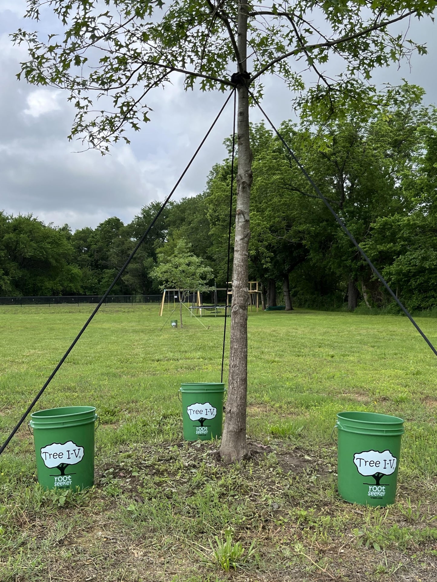 Tree I-V 6-Pk Original Base Root Feeder Watering System - Durable Self-Supported 5-Gal Reservoir with No-Hands Filling - Water 6 Trees in 6 Minutes - Weekly