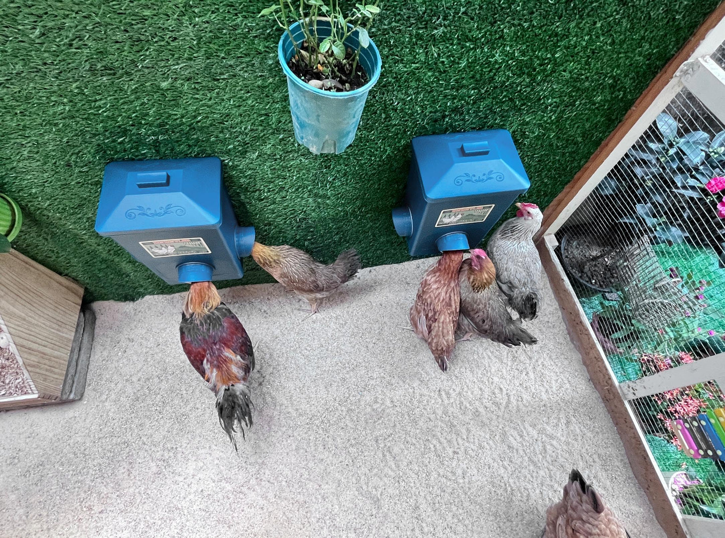 Chicken Feeder, Hanging Automatic Chick Feeders, Chicken Coop Accessories(52 Pounds / 2 Pcs)