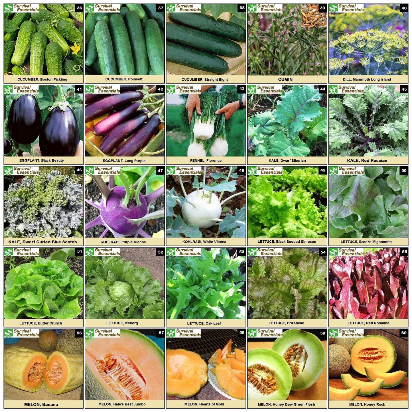 Heirloom Seeds for Planting Vegetables and Fruits - Survival Essentials 135 Variety Seed Vault - Medicinal Herb Seeds - Grow Healthy Non-GMO Food