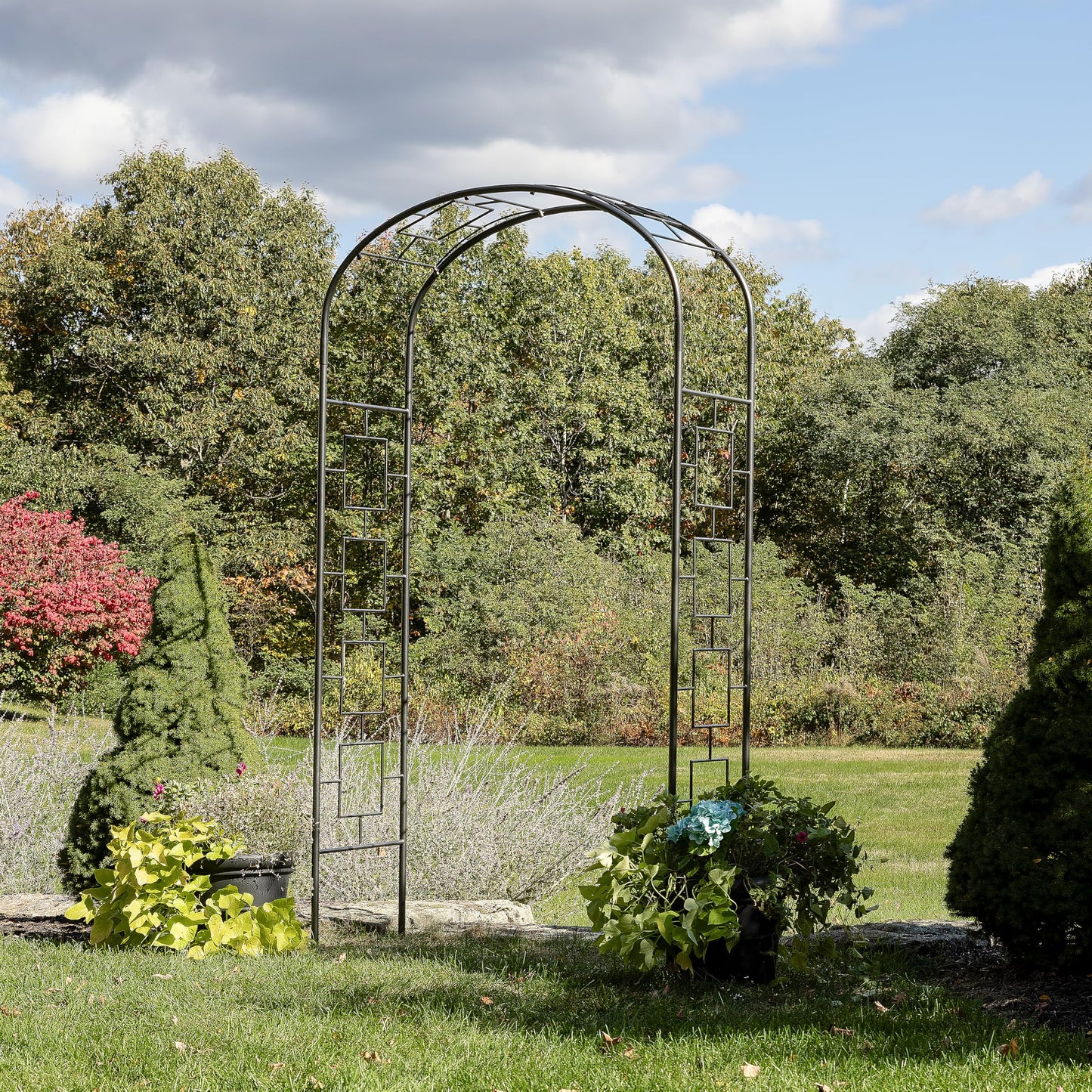 Modern Arbor