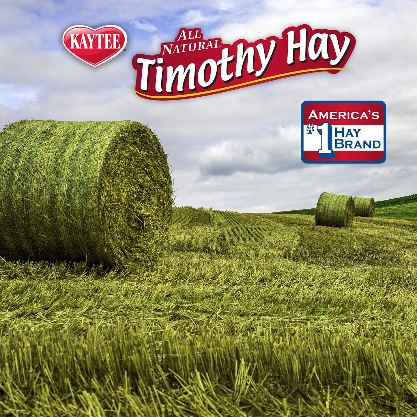 Kaytee Timothy Hay Blend Cubes for Pet Rabbits, Guinea Pigs, Chinchillas, and Other Small Animals, 1 Pound