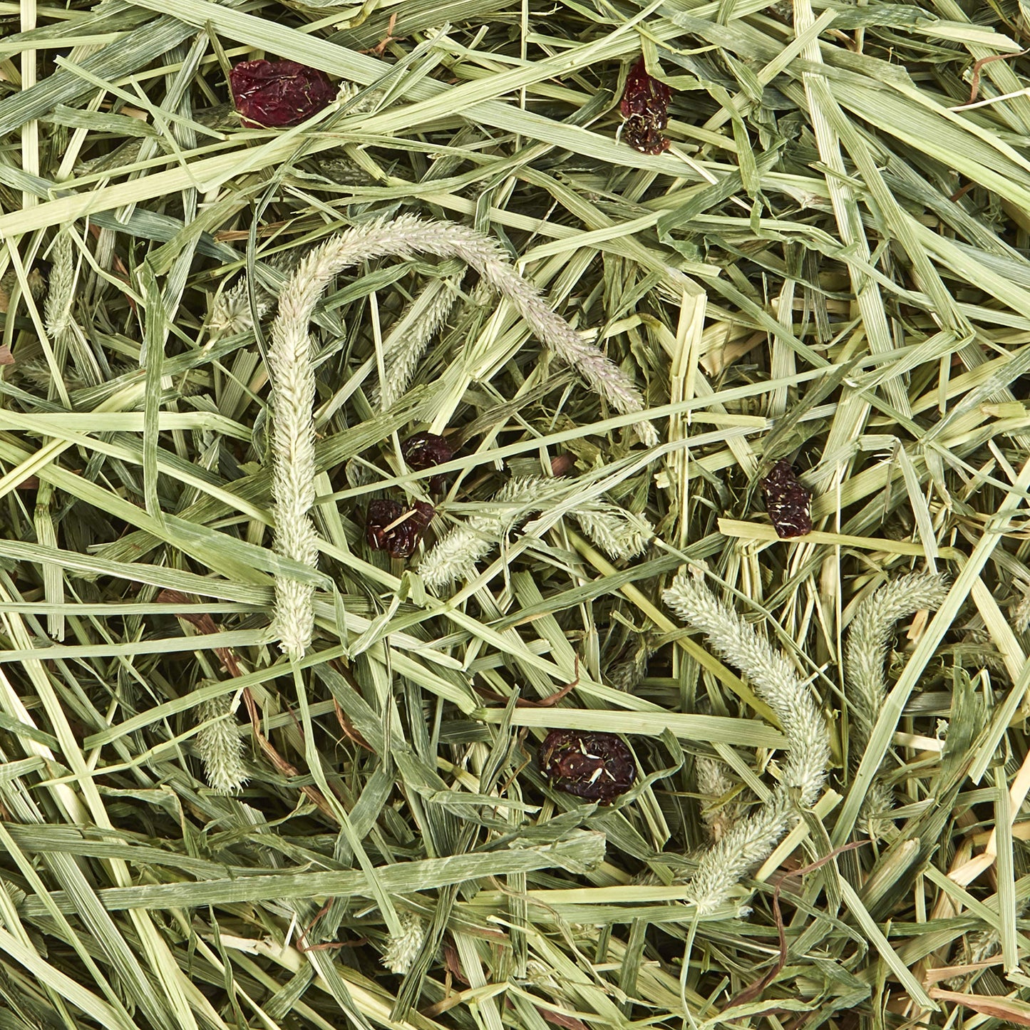 Kaytee All Natural Timothy Hay Plus Cranberries For Guinea Pigs, Rabbits & Other Small Animals, 24 Ounce