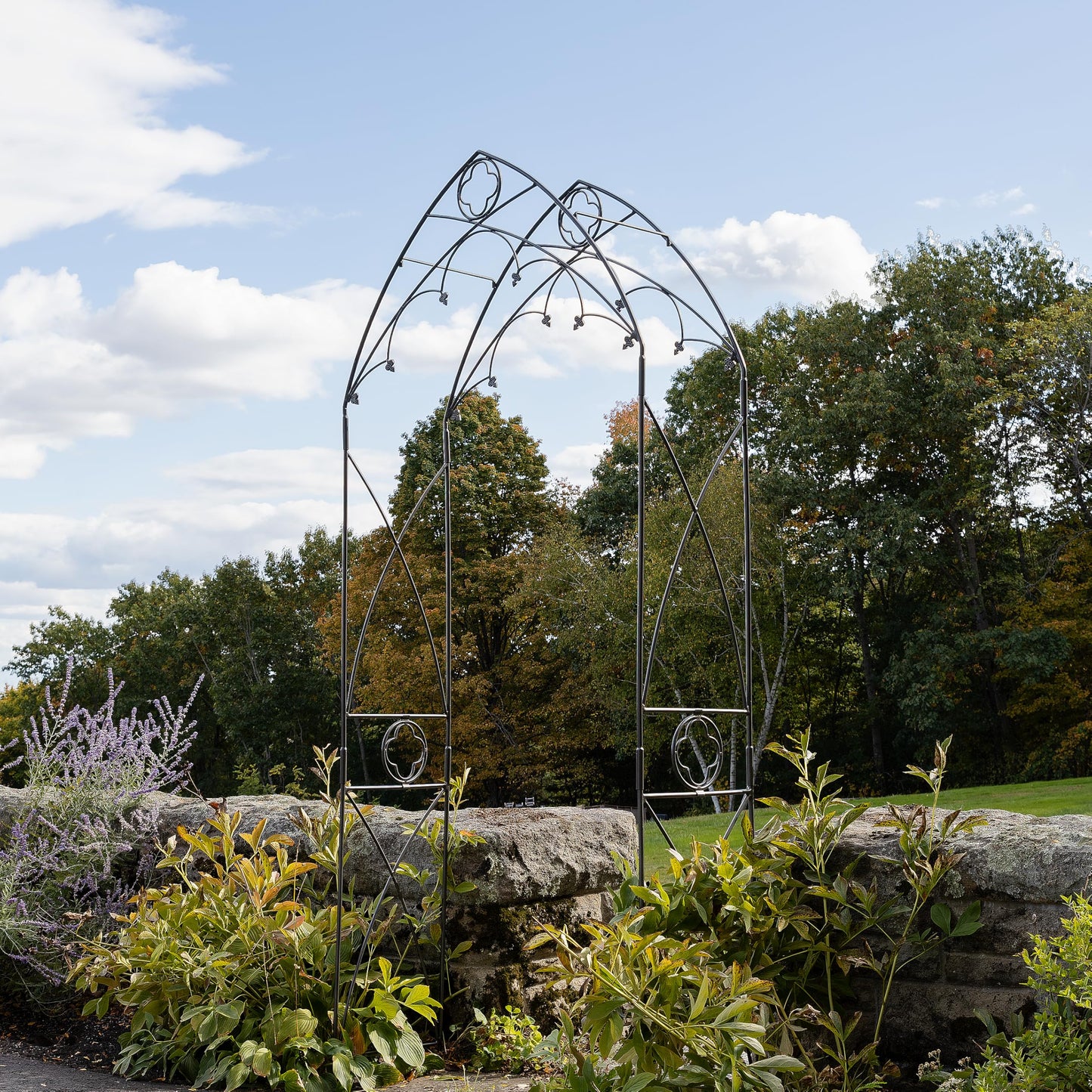 Quatrefoil Arbor