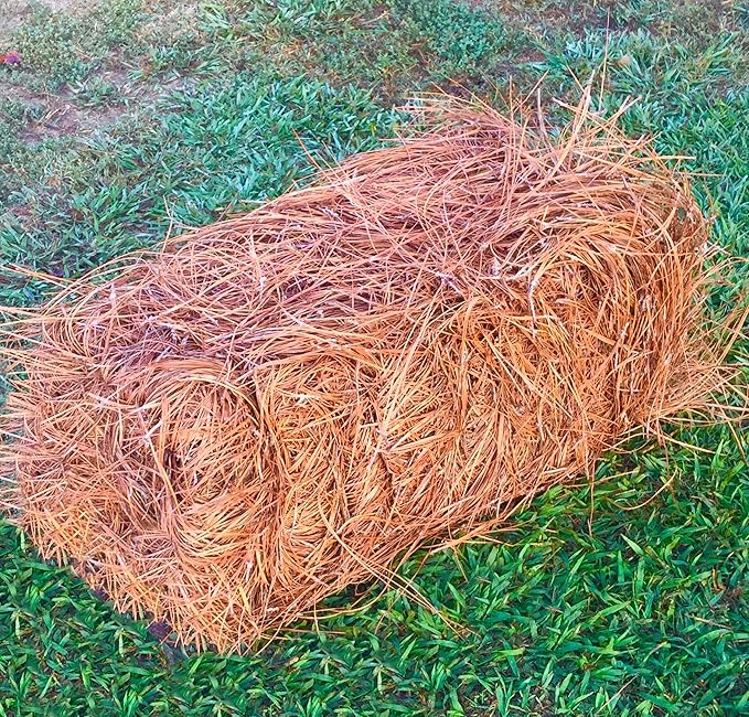 USA Premium Pine Straw - Pine Needle Mulch - Covers 65-80 Sqft
