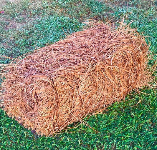 USA Premium Pine Straw - Pine Needle Mulch - Covers 65-80 Sqft