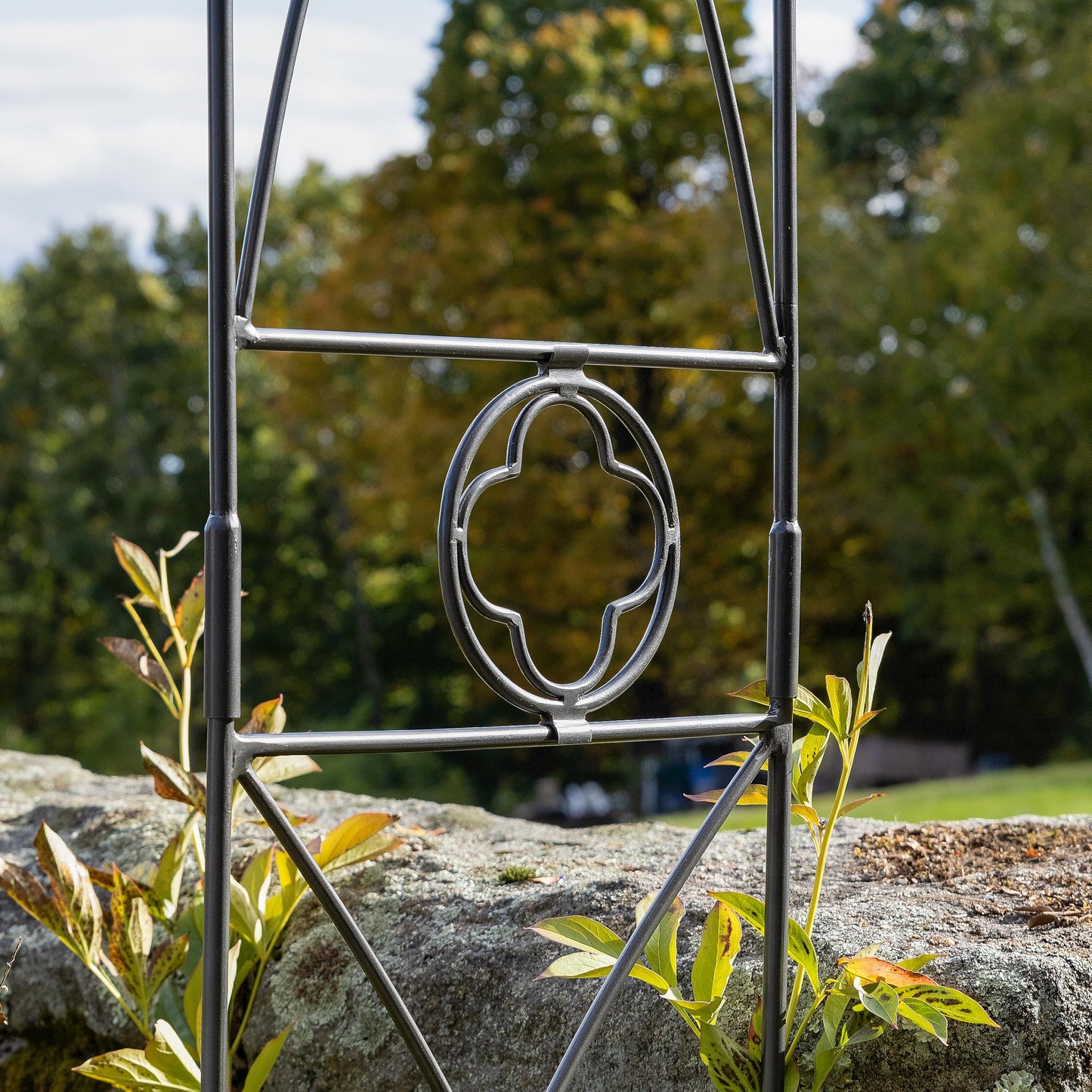 Quatrefoil Arbor