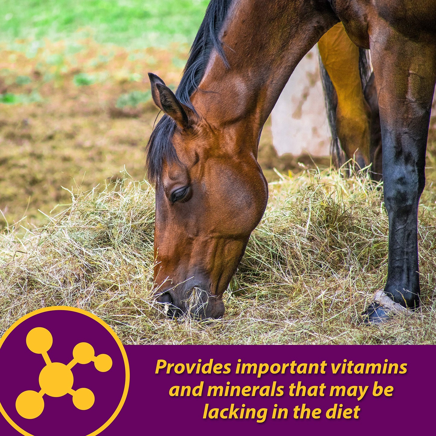 Farnam Horse Health Red Cell Pellets, Vitamin-Iron-Mineral Supplement for Horses, Helps Fill Important Nutritional Gaps in Horse's Diet, 4 lbs., 64-Day Supply