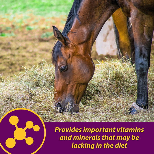 Farnam Horse Health Red Cell Pellets, Vitamin-Iron-Mineral Supplement for Horses, Helps Fill Important Nutritional Gaps in Horse's Diet, 4 lbs., 64-Day Supply