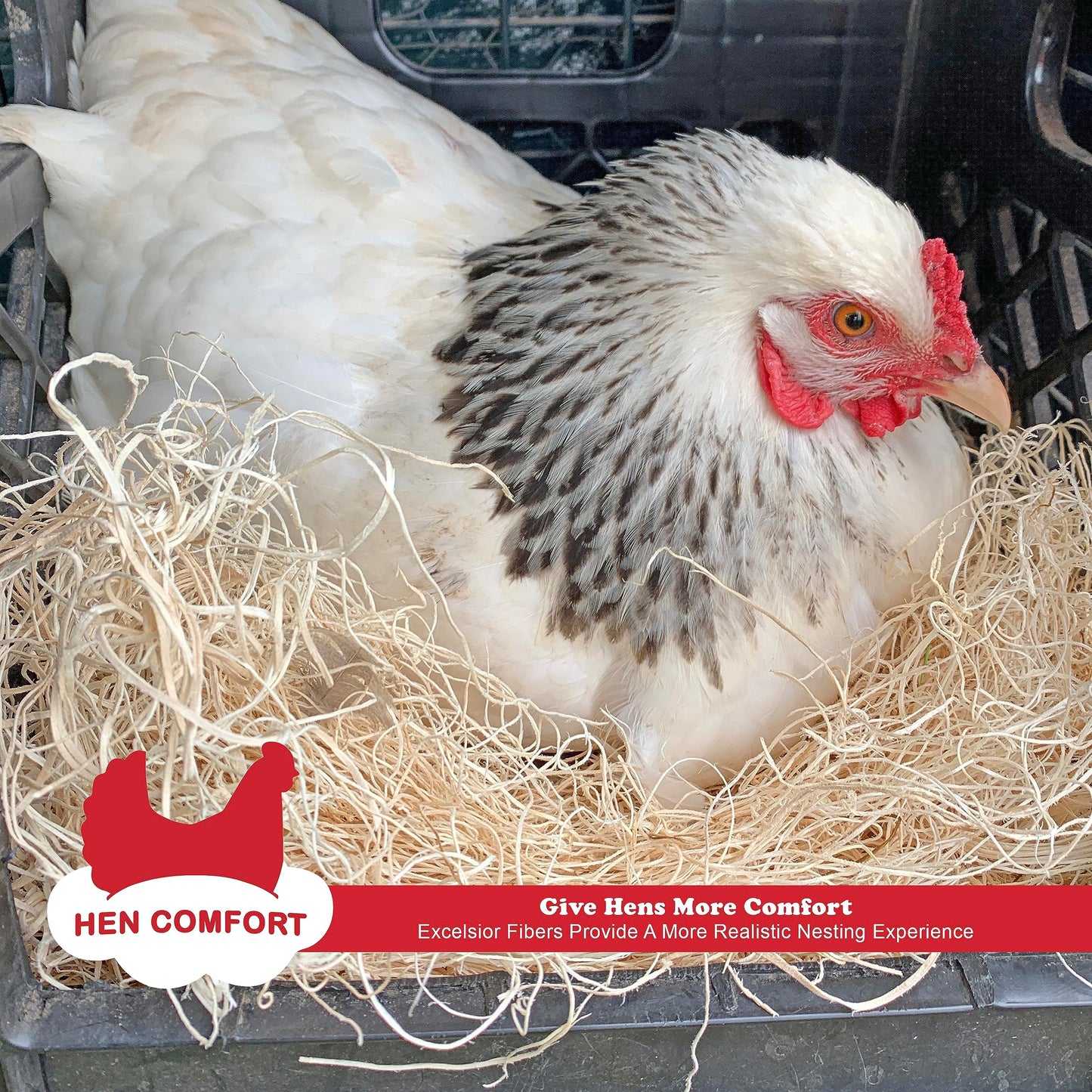 Hen Comfort Nest Pads for Chicken Nesting Boxes - 13 x 13 Pads Made in USA from Sustainably Sourced Aspen Excelsior (10 Pack)