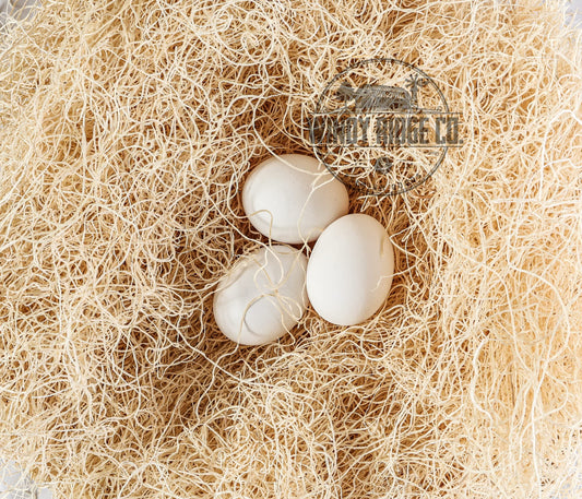 Windy Ridge Co. Natural Chicken Nesting Pads - 10 Pack - Aspen Excelsior Bedding Hen Nest Box Liners - USA Made - 13" x 13"