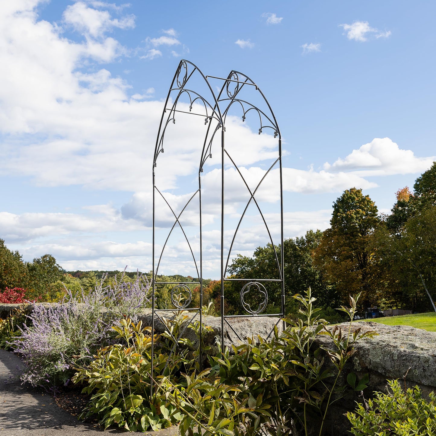 Quatrefoil Arbor