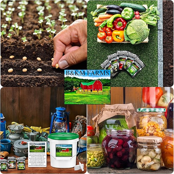 Beginner Survival Seed Vault: 10,000+ Heirloom & Non-GMO Seeds (20 Easy to Grow Varieties) by B&KM Farms