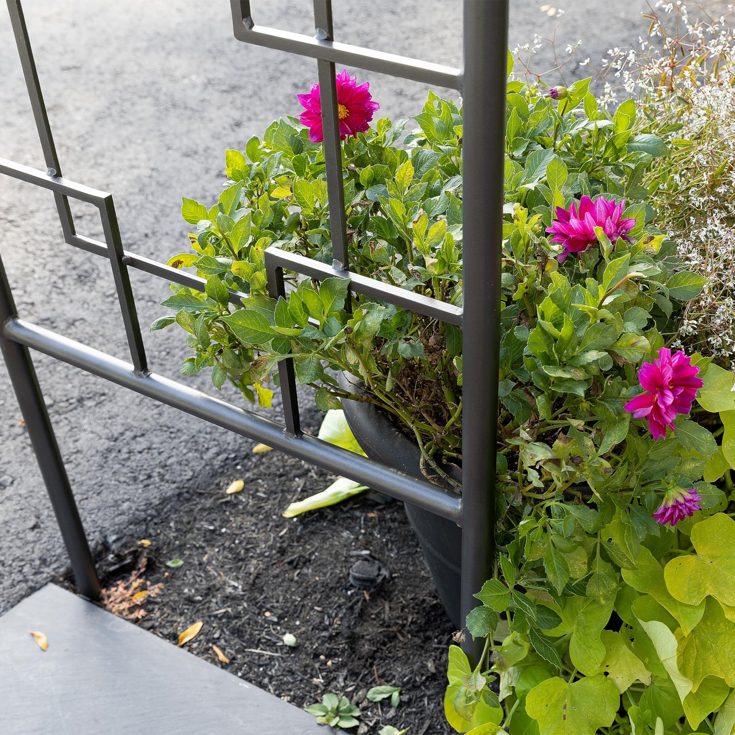 Square-on-Squares Arbor