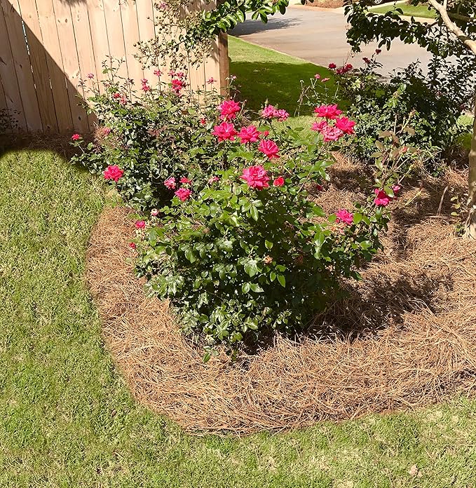 USA Pine Straw - Premium Pine Needle Mulch (Pine Needle Mulch - Covers 100 Sqft 1 Set)