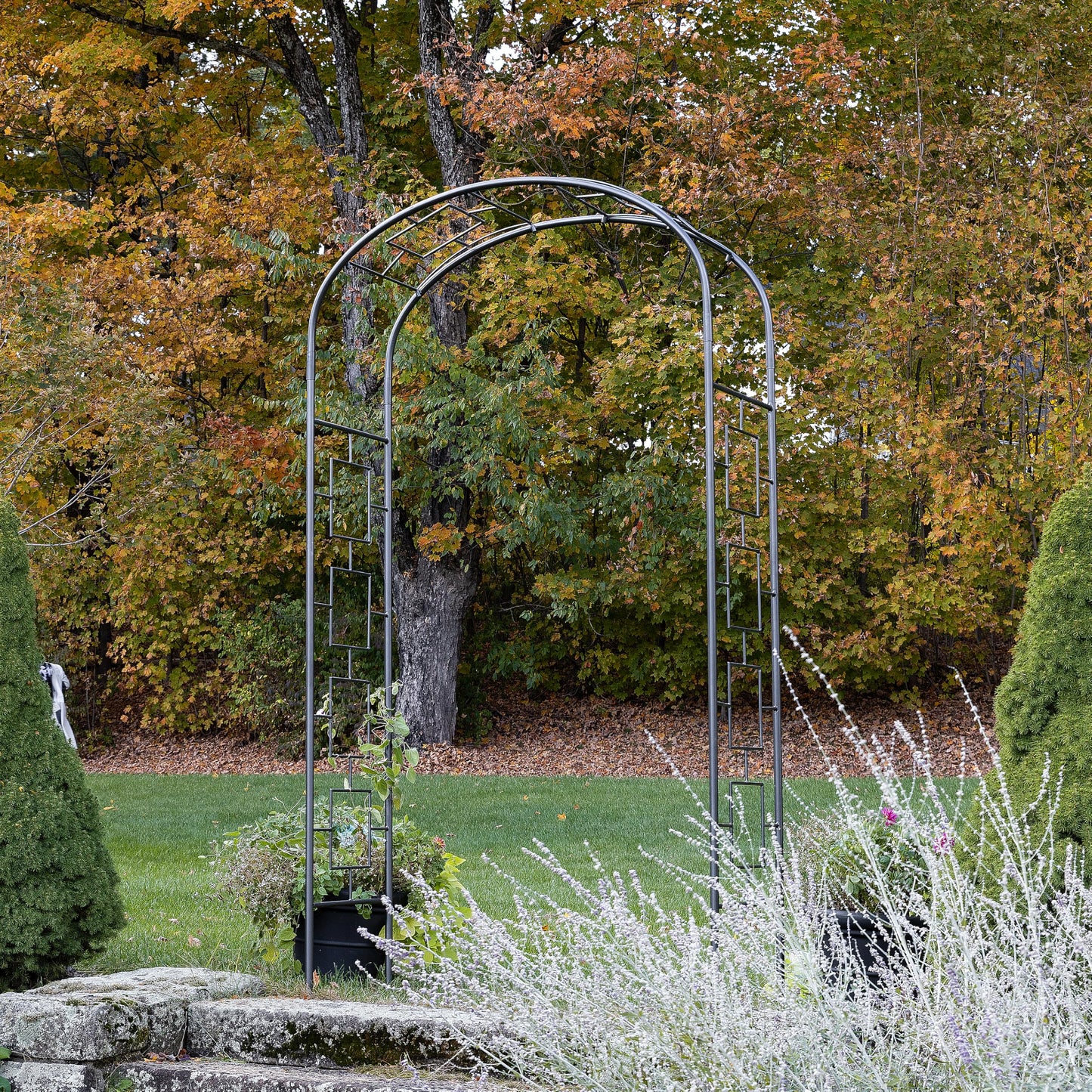 Modern Arbor